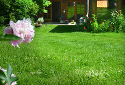 POHLED NA APARTM&Aacute;N Z VENKU