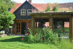 Zimn&iacute; zahrada a chrpy