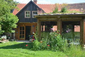 Zimní zahrada a chrpy